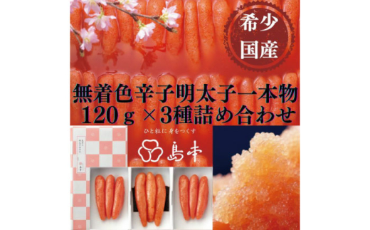 yz㒬zyhqq̓{z󏭍YEFhqq{120×3 z㒬yГ{Hiz߂񂽂 炱 q Y F 1{ [ABCR014] 19000~