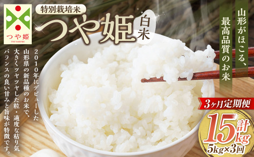 3ヶ月定期便】【令和7年産】〈白米〉 つや姫 5kg×3回（特別栽培米
