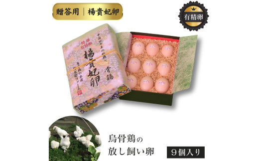 特選 有精卵 烏骨鶏のたまご 9個セット ［ 楊貴妃卵 ］烏骨鶏の卵 烏骨