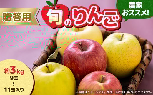 yXXszp2025N11`2026N3_ƂXX!{̂񂲖3kg(9ʁ`11ʓ)y1222610z