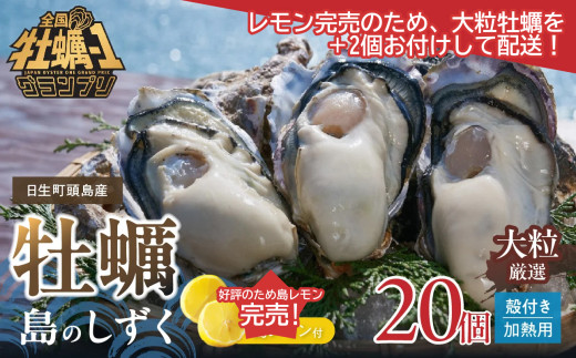 個性的な各種巻き貝厳選18個