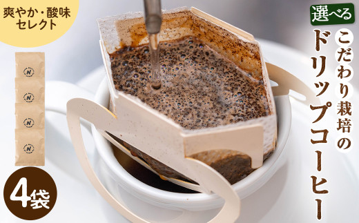 y{ʎsz͔|̃hbvR[q[(u₩E_ZNg/)(v4)ym70-10-DzyN BLOOD COFFEE ROASTERSz