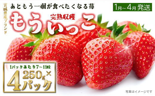完熟収穫】いちご もういっこ 250g×4パック 【04324-0319】 - 宮城県