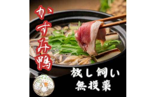 y錧݂sz̑f2lO  X[v500gƊ1H(400`450g)̃Zbg_   X[v f X[v    J  J    ɂ  Y 
