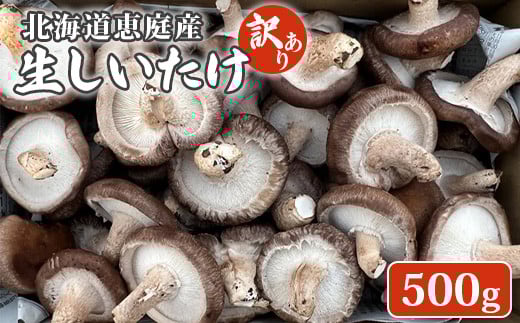 ykCbszkCbY  500g 20O ʌ 󂠂i 󂠂 IC \ ӂ邳Ɣ[ kC b ő  ő ۏ ̂ h{_  Z ̂ꂽ