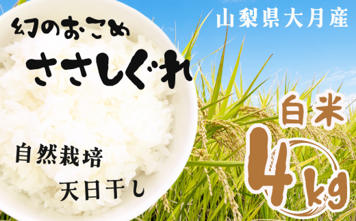 yR匎szR͔|   匎Y Skg