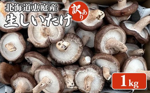 ykCbszkCbY  1kg 35O ʌ 󂠂i 󂠂 IC \ ӂ邳Ɣ[ kC b ő  ő ۏ ̂ h{_  Z ̂ꂽ