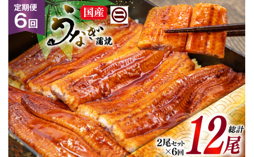 yÉgczȂ Y   145gO 2 6 v12 ^pbN ^ R t Ⓚ [}jȂH É gc 22424475] V EiM Ă Ȃ ȂĂ V