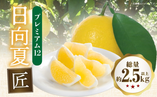 宮崎県産　種無し日向夏　20キロ 家庭用　超大特価‼️送料込み‼️ 2026年発送》【数量・期間限定】日向夏「匠」プレミアム12| みかん