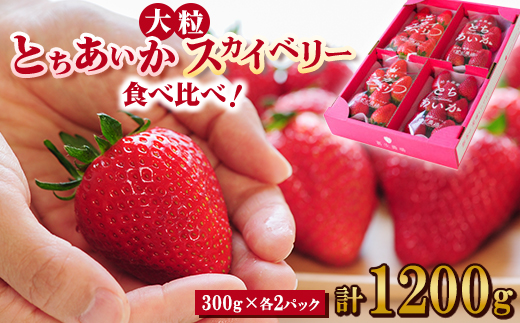 yȖ،sztC`S Hה!嗱wXJCx[xAwƂx300g×2pbNy1291781z