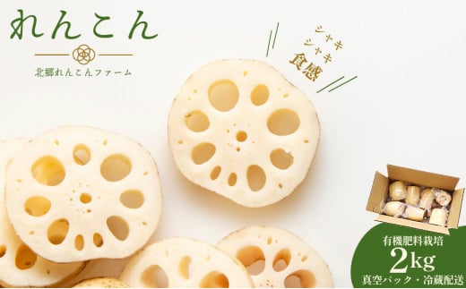 yt_蒬zyerłbzt_蒬Y񂱂 2kgL@엿͔|̊Â݂ƃVLVLHi^pbNE①zji4`8͏oוsj[022-a001]