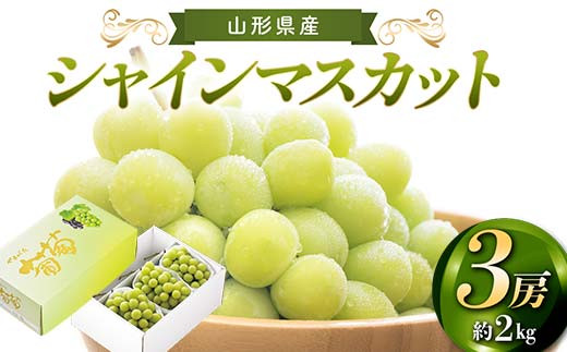 先行予約 2026年度発送】山形県産 シャインマスカット 3房 約2kg