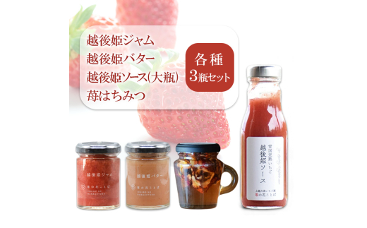 【新潟県上越市】越後姫ジャム・バター・ソース(大瓶)・苺はちみつ(取手付き)各種3瓶セット いちご イチゴ 苺 加工品 お取り寄せ 新潟