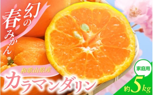 ya̎RݒzJ}_ 󂠂 ƒp S`2LTCY 傫C 5kgy4{`5{ɏz/ ݂ t[c ʕ   kyktn020Az