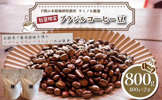 yR֎szy҂z 󂠂 R[q[ 800g ( 400g × 2 ) ʌ uW    R ē 2024Nxו
