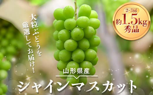 安達農園】≪2025年先行予約≫山形県産 大粒ぶどう シャイン
