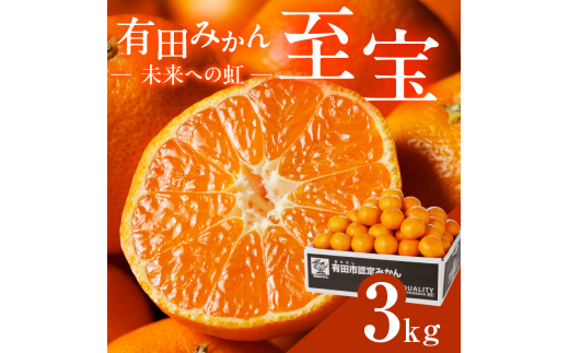 宝石みかん 愛媛名産】玉宝みかん(5kg)【D64-1】 | 愛媛県八幡浜市 | ふるさと納税