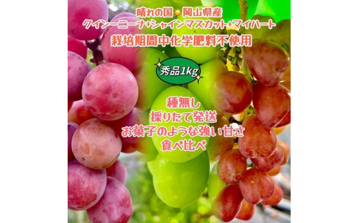 yRRszԂǂ 2026N  NC[j[i VC}XJbg }Cn[g Gi  1kg _ёb܎ R Y ʕ t[c Hה 2026N8{甭