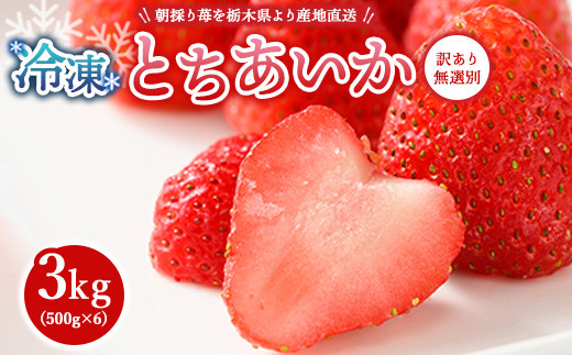 とちおとめ 320g×2パック 3Lサイズ ｜ いちご 苺 イチゴ 贈答