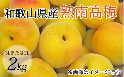 梅干・梅酒用】（3Lまたは2L－約2Kg）熟南高梅【2026年6月上旬