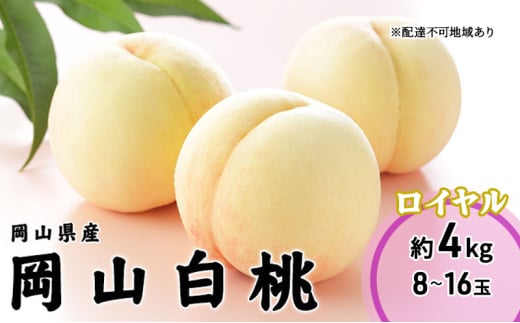 yRsz[5615-0672] 2026N s\ R  C 8`16 4.0kg RY JA܂̂   RY Y t[c ʕ Mtg