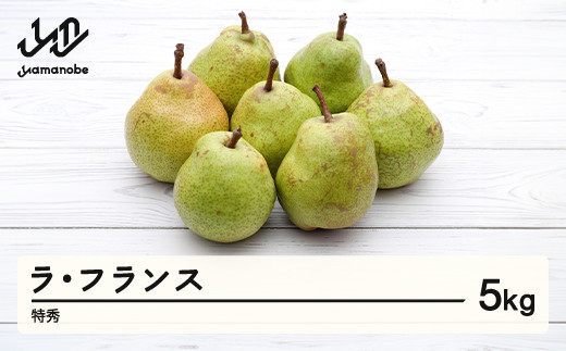 sd1_66c6b5bfca9f0fe918253191c6