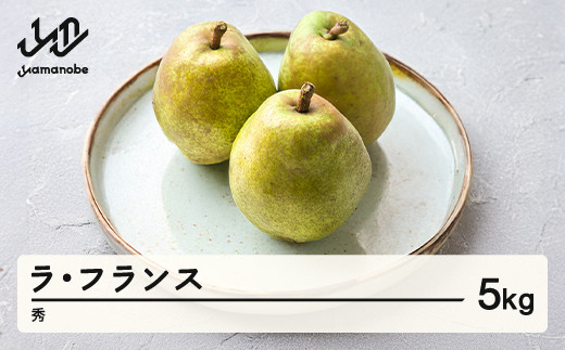 ラ・フランス 秀品 5kg 洋梨 ラフランス 令和7年産 2025年産 果物 mm