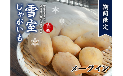 ykCrczkCY nႪ [NC 10kg Ԍ Ꮊ \Y WKC Ⴊ  Â