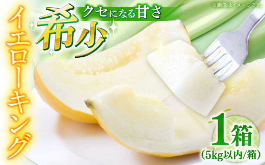 y茧쓇szy2026N5?z CG[LO 1 5kgȓi3`6ʁj /  ߂ t[c ʕ / 쓇s / 쓇ʕ [SCV039]