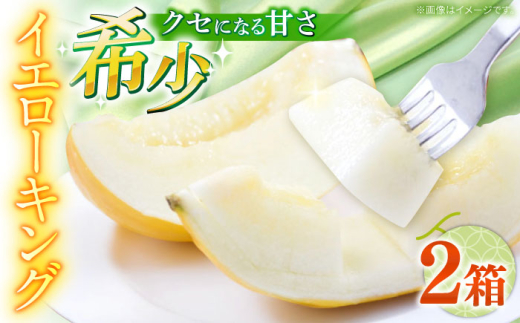 y茧쓇szy2026N5?z CG[LO 2i1 3`6ʁj /  ߂ t[c ʕ / 쓇s / 쓇ʕ [SCV040]