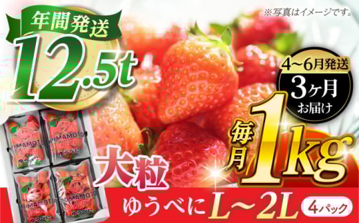 yF{Rszs3蔭Jnt y3ցz 嗱 L?2L 䂤ׂ 1kgi4pcjyF{x[z [ZER025]