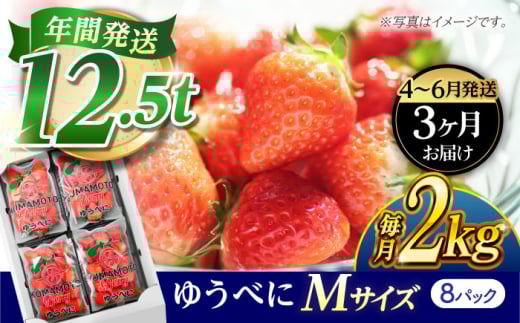 yF{Rszs3蔭Jnt y3ցz  MTCY 䂤ׂ 2kgi8pcjyF{x[z [ZER023]