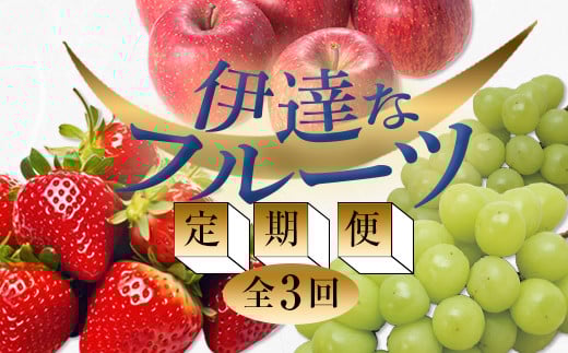 yɒBsz2026NtJn̒ցɒBȃt[c (EԂǂE) ʕ t[c  C`S  uhE ь S  ɒBs F21C-244