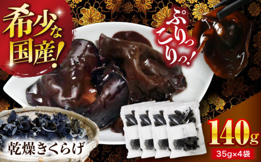 yQFszy󏭂ȍYizFYE炰 140gi35g×4܁j [AGBK007] 炰 Y 炰  炰  ܂ aH ؗ  LNQ Y [ gbs