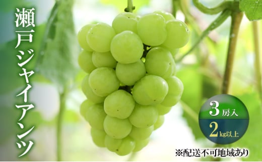 yR˓szԂǂ y2026N s\z ˃WCAc 3[(v2kgȏ) uhE  RY Y t[c ʕ Mtg ͖{_[5735-2101]