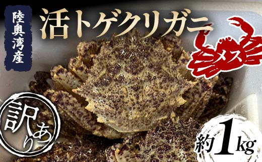 yXz󂠂 pY gQNKj (X) 1kg (5`10t)yہz t  Jj I  X X k ނp F21J-255