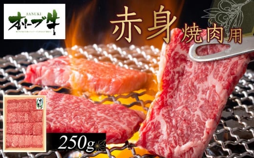 y쌧szI[u@Ԑgēp@250g