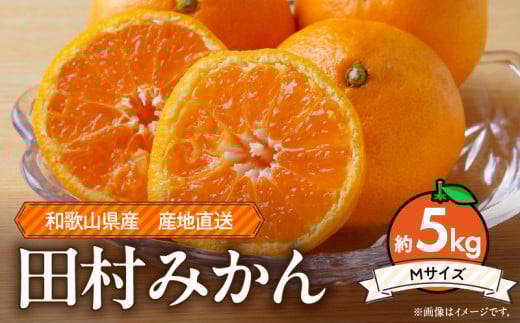 ya̎R󒬁zZE6342n_a̎R 󒬎Y c݂ 5kgyMTCYz ws