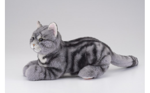 川崎市のロボットメーカーが作る、シニア向けペットの代理ロボット！な