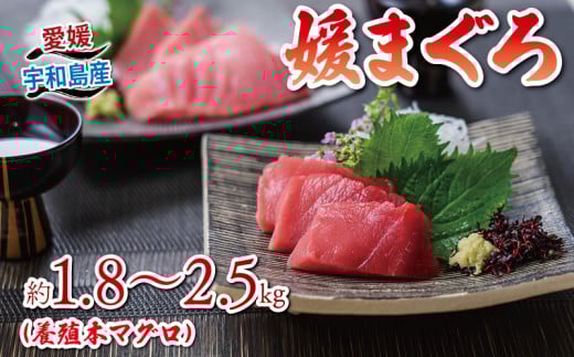 yQFaszy2025N1224z {}O ubN 1.8`2.5kg Q܂ _Cj` }O Ԑg g g  ws }O Y}O {B}O {B{}O N}O