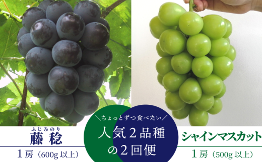 yR^szy2026Ns\zƂHׂIƃVC}XJbĝP[QցI ()(RY)yKF-T043-02z