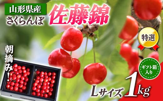 先行受付 令和8年度発送】山形県産 朝摘みさくらんぼ 特選佐藤錦1kg