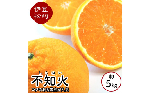 鈴切農園 不知火 しらぬい 5kg～6kg - 静岡県松崎町｜ふるさとチョイス