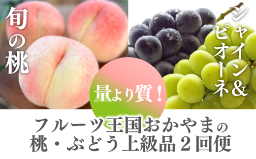 yR^szy2026Ns\zʂ莿IƃsI[lVC}XJbgA㋉i2 ()(RY) yKF-T032-03z