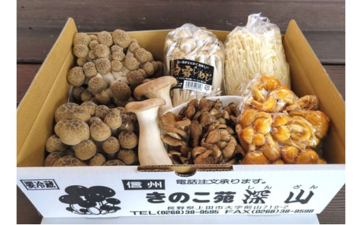 y쌧csẑ肫̂6lߍ킹 [5312-0382]