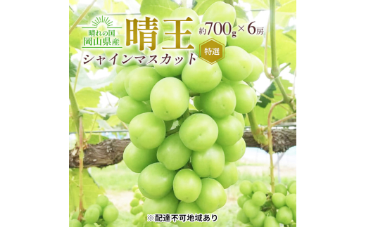 yRʖszԂǂ 2026N s\ VC }XJbg  I 6[i1[700gjϔ 嗱 햳 uhE  RY Y t[c ʕ Mtg cX