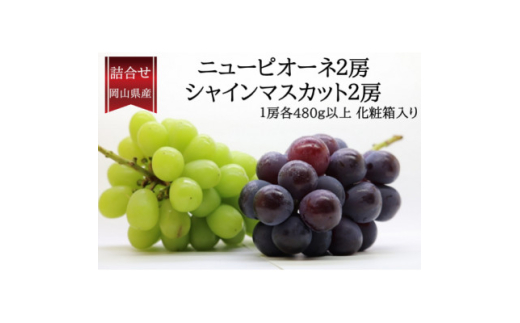 yRVz2026NԂǂl/j[sI[l2[EVC}XJbg2[(e1[480gȏ)y1546684z