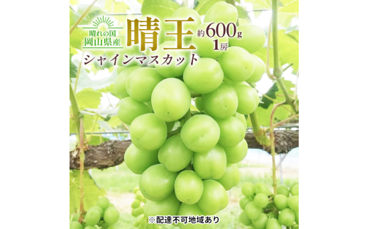 yRʖszԂǂ 2026N s VC }XJbg  1[ 600g 嗱 햳 uhE  RY Y t[c ʕ Mtg cX