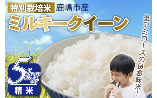 y錧szߘa7NY sY ~L[NC[ () 5kg y~L[NC[    ǐH 錧 s 15000~ȓziKAK-6j