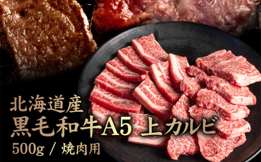 ykCWÒzkCY јaA5Jr500g ēp | IC\ ӂ邳Ɣ[ kC W јa A5 Jr JCm~ tN wbho  Z  Ԑg ē BBQ 
